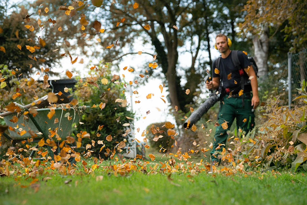 regelmäßige gartenpflege